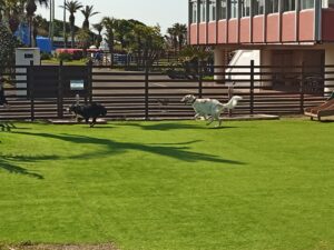 IMG_20210412_092022_2