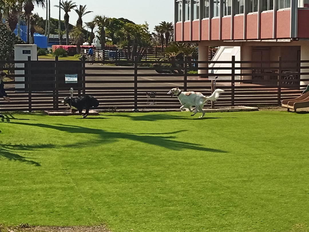 IMG_20210412_092022_2