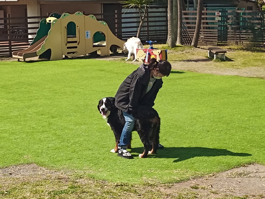 IMG_20210412_092106_2