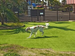 IMG_20210412_092109_3