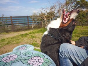 IMG_20210412_092215_9