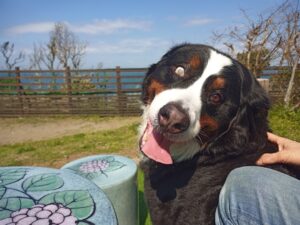 IMG_20210412_092223_9