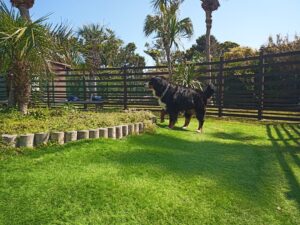 IMG_20210412_092302_7