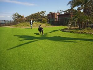 IMG_20210412_092344_7