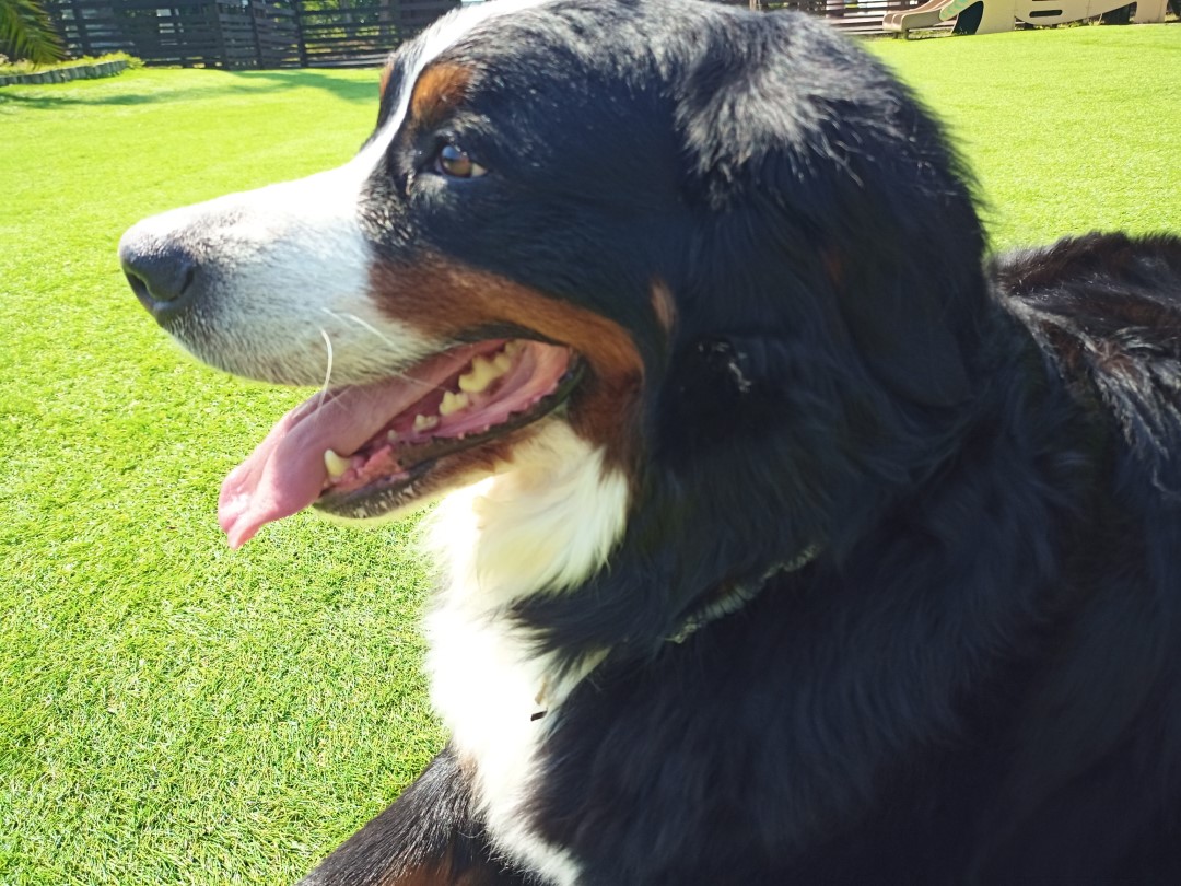 IMG_20210412_093059_8