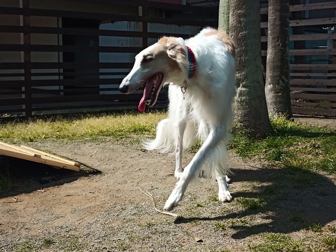 IMG_20210412_093555_4