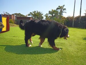 IMG_20210412_093642_6