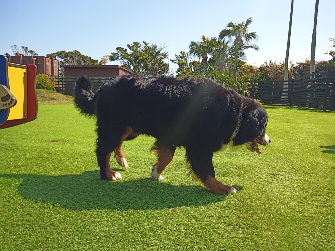 IMG_20210412_093642_6