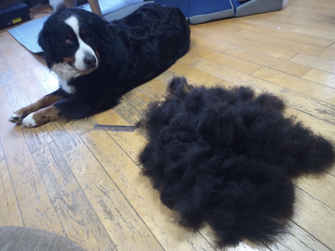 IMG_20210606_104555_8