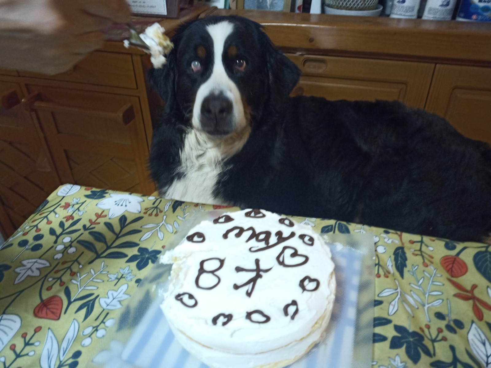 IMG_20210621_185651_1CS