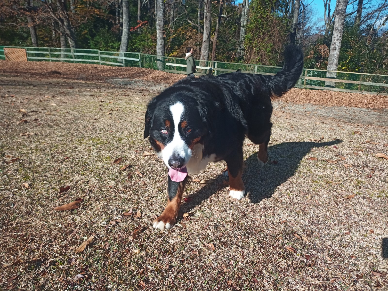 IMG_20211211_104520_9