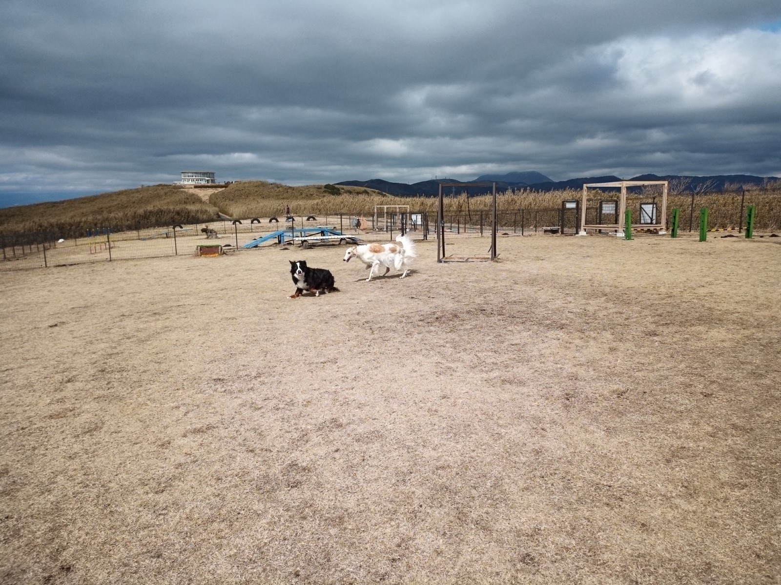 IMG_20220219_113647_9