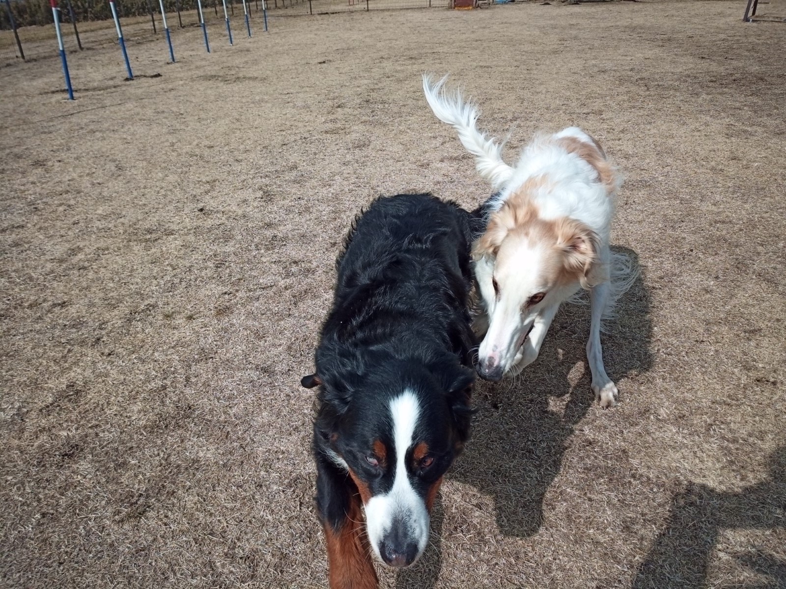 IMG_20220219_113650_5