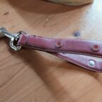 COACHの首輪をショートリードに