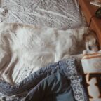 可愛すぎ