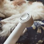 あのニトリのドライヤーをわんこに使ってみた
