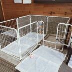 使用しているケージは