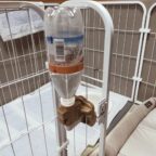 ケージに付ける水飲みはこれ一択