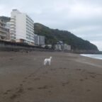 熱川オーシャンリゾートへ！！！