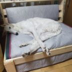 シェリィちゃんがやってくれました！