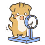 え？47.25kgって？？？