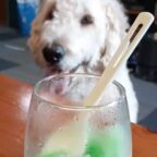 かき氷！